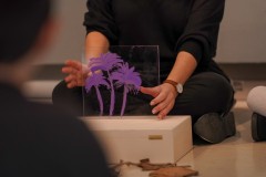 79861562_2705398939528834_553845576236531712_o_2705398932862168