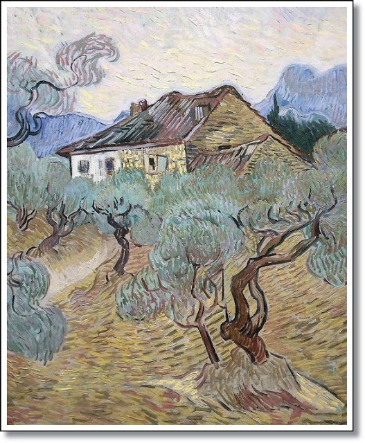 Olive Trees, 1889 Vincent Van Gogh